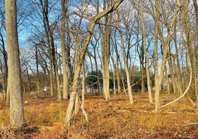 1st image of Vl Daniel Ln, Brookhaven, NY 11953 | MLS# 944772