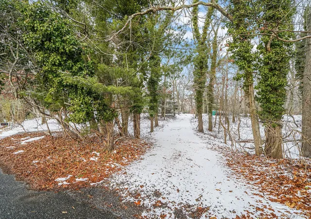 3rd image of 15 Beatrice Dr, Shirley, NY 11967 | MLS# 945892