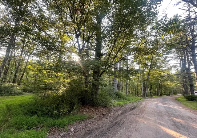 Homes for sale in Lumberland, NY | Loch Ada Rd, Lumberland, NY 12737 | MLS# 945905