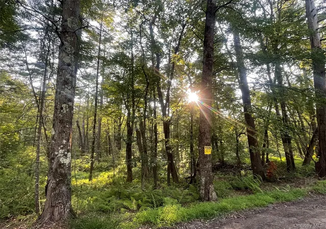 Homes for sale in Lumberland, NY | Loch Ada Rd, Lumberland, NY 12737 | MLS# 945905