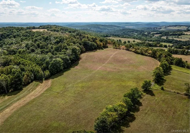 Photo 1 of Land for sale at 04 Bauernfiend Rd, Callicoon, NY 12723 | MLS# 947294 | Listing updated on 2026-02-19