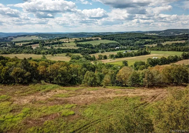 Photo 3 of Land for sale at 04 Bauernfiend Rd, Callicoon, NY 12723 | MLS# 947294 | Listing updated on 2026-02-19