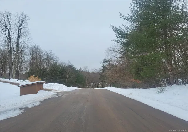 Homes for sale in Bethel, NY | 000 Roslyn Ridge Rd, Bethel, NY 12720 | MLS# 947351