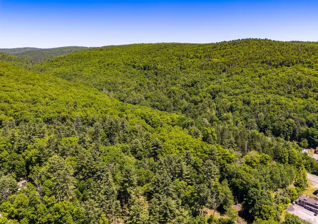 Homes for sale in Highland, NY | Lot 111 State Route 55 And Mail Road, Highland, NY 12719 | MLS# 947853