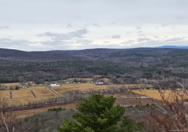 43rd image of 112 State Route 55, Wawarsing, NY 12458 | MLS# 948418