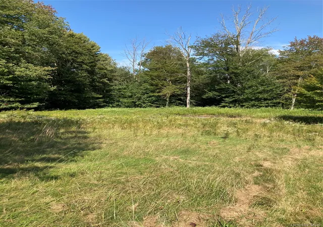 Photo 2 of Single family home for sale at 699 Budd Rd, Woodbourne, NY 12788 | MLS# 948974 | Listing updated on 2026-08-17