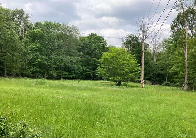 Photo 4 of Single family home for sale at 699 Budd Rd, Woodbourne, NY 12788 | MLS# 948974 | Listing updated on 2026-08-17