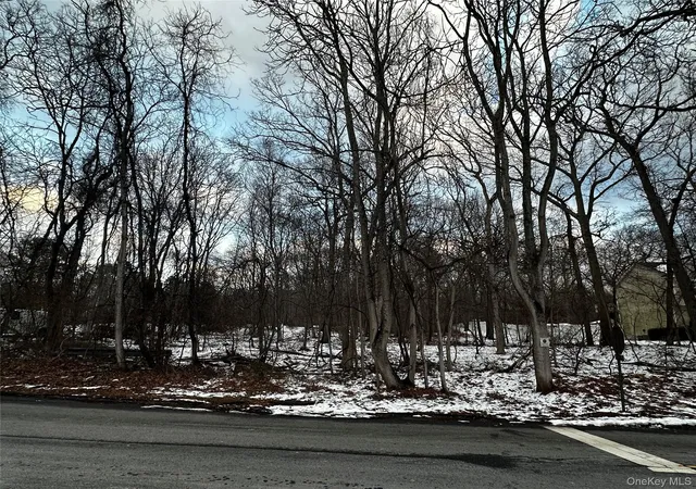Photo 1 of Land for sale at W Bartlett Rd, Middle Island, NY 11953 | MLS# 948996 | Listing updated on 2026-01-31