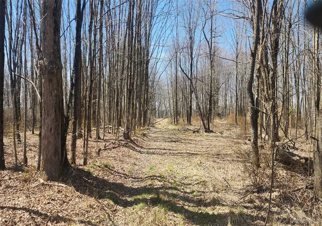 Photo 1 of Land for sale at 00 Liberty St, Thompson, NY 12701 | MLS# 949439 | Listing updated on 2026-01-09