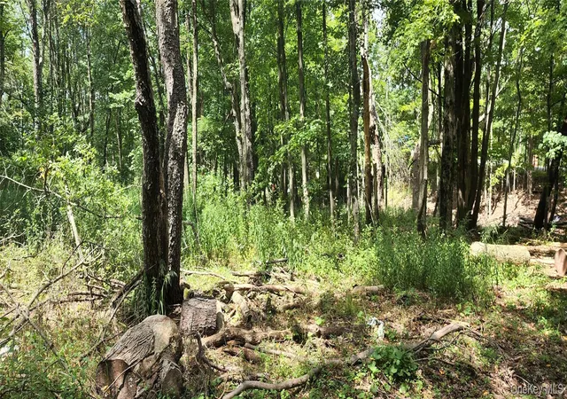Photo 3 of Land for sale at 00 Liberty St, Thompson, NY 12701 | MLS# 949439 | Listing updated on 2026-01-09