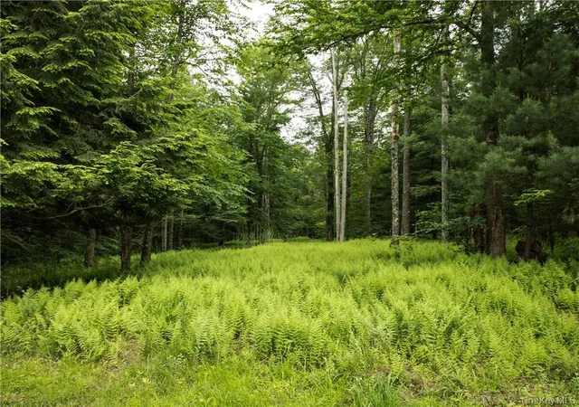 Homes for sale in Bethel, NY | Lot 4 Chapin Trl, Bethel, NY 12720 | MLS# 951393
