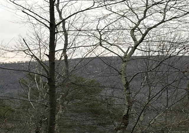 Photo 18 of Land for sale at Allen Rd, Wurtsboro, NY 12790 | MLS# 952806 | Listing updated on 2026-05-16