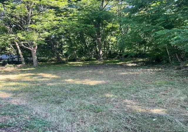 Homes for sale in Hyde Park, NY | 49 E Market St, Hyde Park, NY 12538 | MLS# 952876