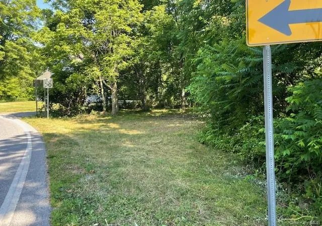 Homes for sale in Hyde Park, NY | 49 E Market St, Hyde Park, NY 12538 | MLS# 952876