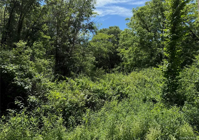 2nd image of Schoolhouse Rd, Staatsburg, NY 12580 | MLS# 953250