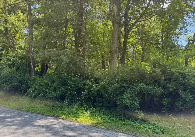 3rd image of Schoolhouse Rd, Staatsburg, NY 12580 | MLS# 953250