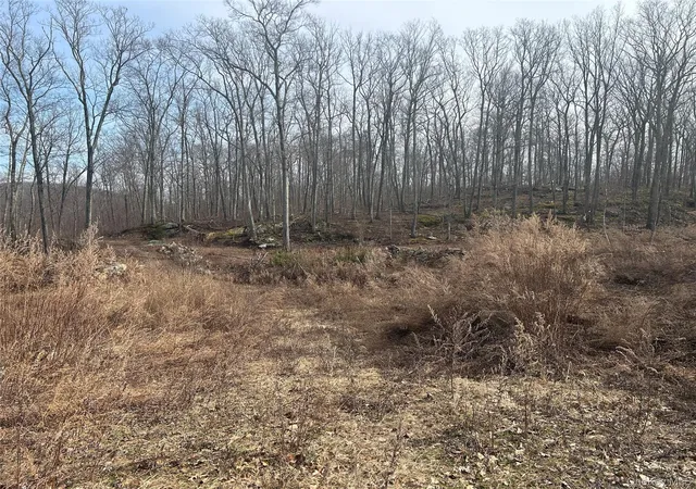 33rd image of 545 Grape Hollow Rd, Holmes, NY 12531 | MLS# 953474