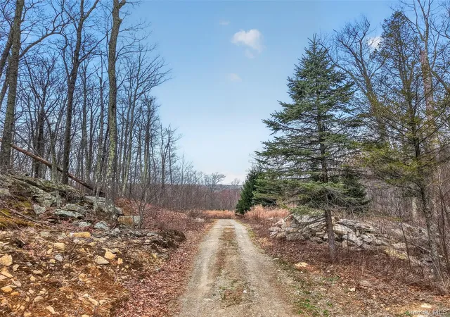3rd image of 545 Grape Hollow Rd, Holmes, NY 12531 | MLS# 953474