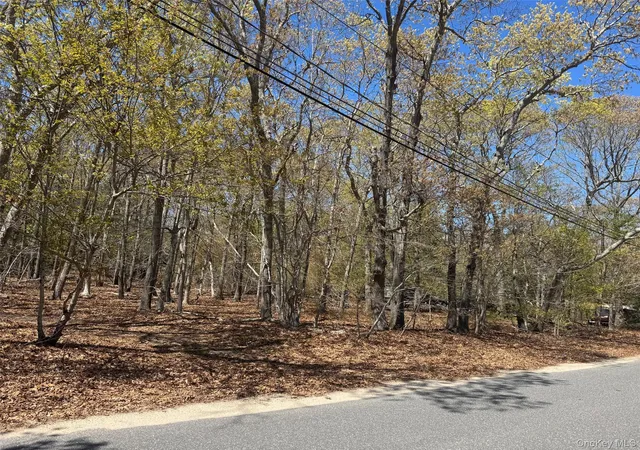 2nd image of 725 Youngs Ave, Southold, NY 11952 | MLS# 953624