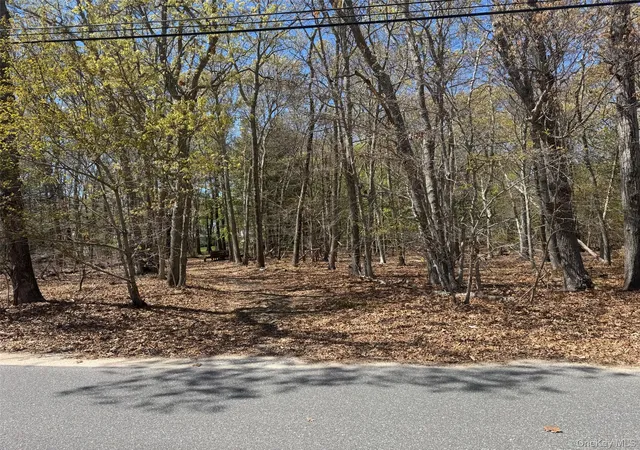 Photo 3 of Land for sale at 725 Youngs Ave, Southold, NY 11952 | MLS# 953624 | Listing updated on 2026-08-11