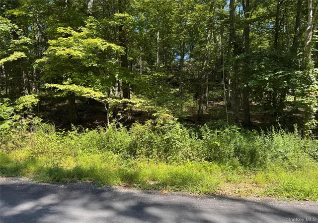 1st image of 17 Vanessa Ln, Staatsburg, NY 12580 | MLS# 953629