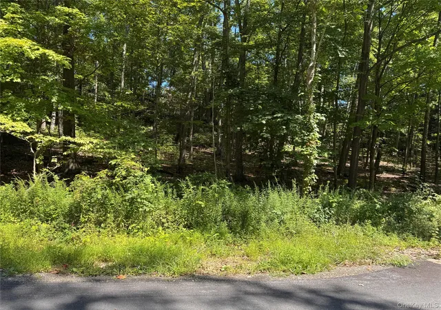2nd image of 17 Vanessa Ln, Staatsburg, NY 12580 | MLS# 953629