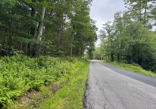 1st image of 00 Starlight Rd, Monticello, NY 12701 | MLS# 953999