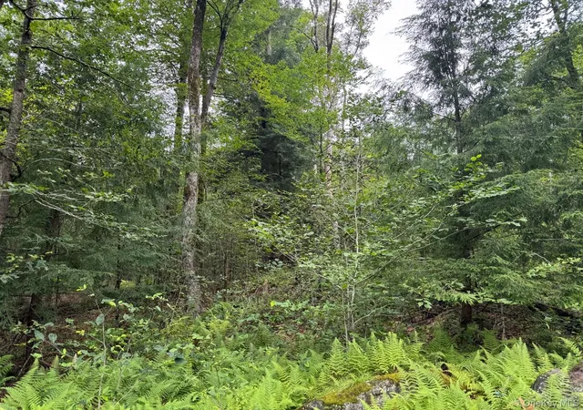 2nd image of 00 Starlight Rd, Monticello, NY 12701 | MLS# 953999