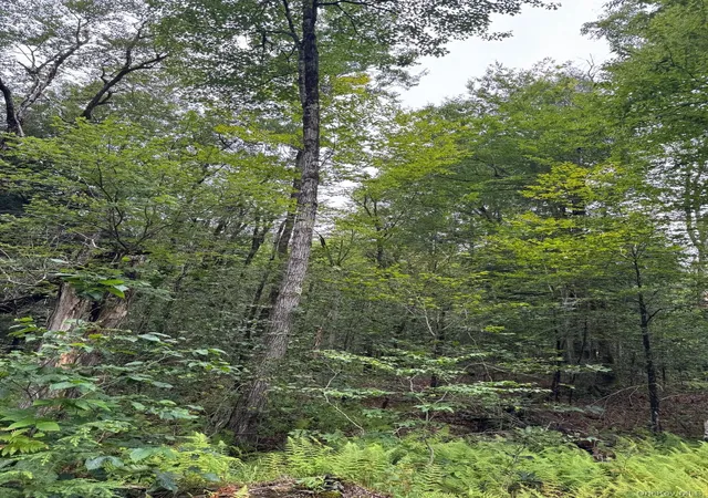 Photo 3 of Land for sale at 00 Starlight Rd, Monticello, NY 12701 | MLS# 953999 | Listing updated on 2026-07-23