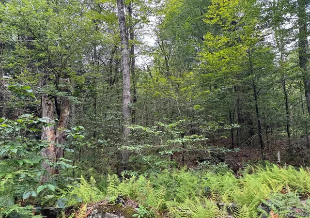 Photo 4 of Land for sale at 00 Starlight Rd, Monticello, NY 12701 | MLS# 953999 | Listing updated on 2026-07-23