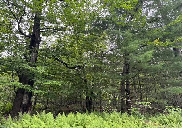 Photo 5 of Land for sale at 00 Starlight Rd, Monticello, NY 12701 | MLS# 953999 | Listing updated on 2026-07-23