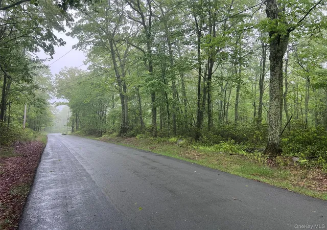 Homes for sale in Mamakating, NY | Budd Rd, Mamakating, NY 12790 | MLS# 955594