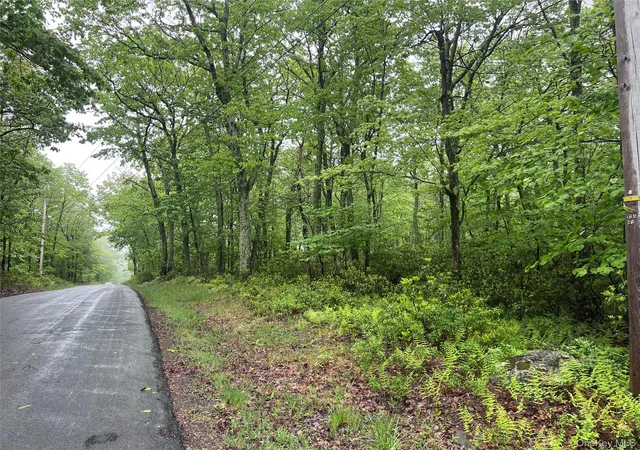Homes for sale in Mamakating, NY | Budd Rd, Mamakating, NY 12790 | MLS# 955594