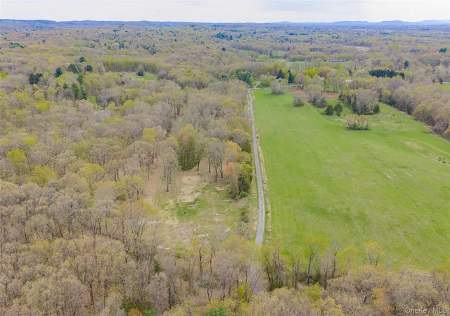 Homes for sale in Clermont, NY | 207 Pleasant Vale, Clermont, NY 12583 | MLS# 955852