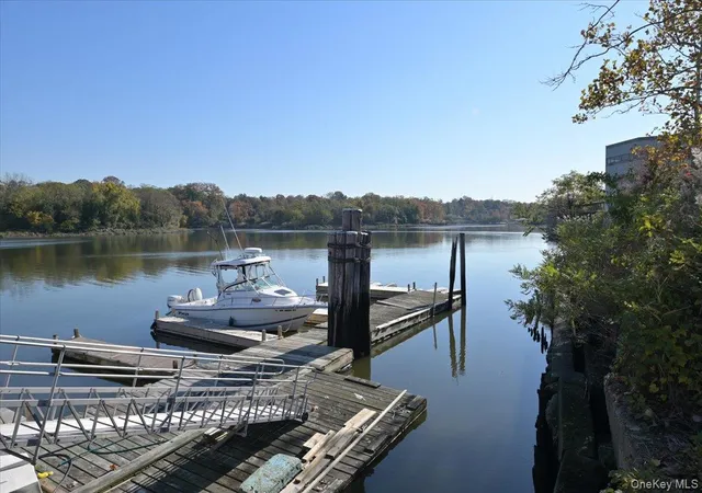 33rd image of 320 E Shore Rd #4C, North Hempstead, NY 11023 | MLS# 956303
