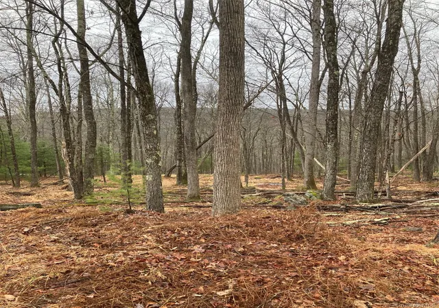Photo 1 of Land for sale at State Route 55, Highland, NY 12719 | MLS# 957366 | Listing updated on 2026-05-16