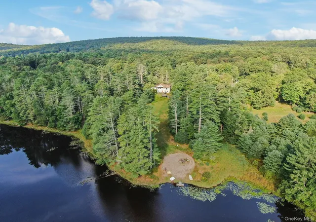 Photo 3 of Single family home for sale at 86 Beaver Brk Rd, Narrowsburg, NY 12764 | MLS# 958290 | Listing updated on 2026-05-24