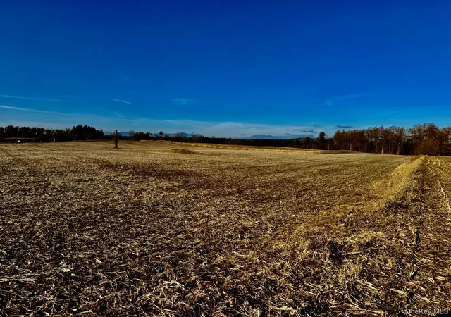 4th image of 0 Us 9, Hudson, NY 12534 | MLS# 958784