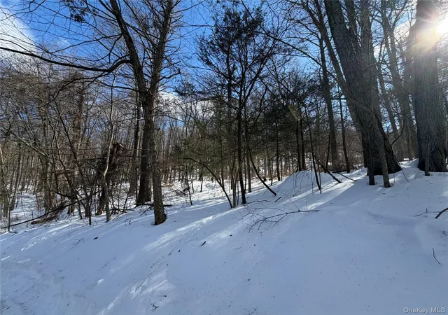 Photo 3 of Sale Pending at Saw Ml Rd, Putnam Valley, NY 10579 | MLS# 960197 | Listing updated on 2026-04-22