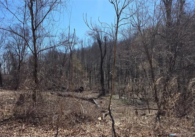Photo 2 of Land for sale at 91 Barrett Hl Rd, Kent, NY 10512 | MLS# 962476 | Listing updated on 2026-08-06
