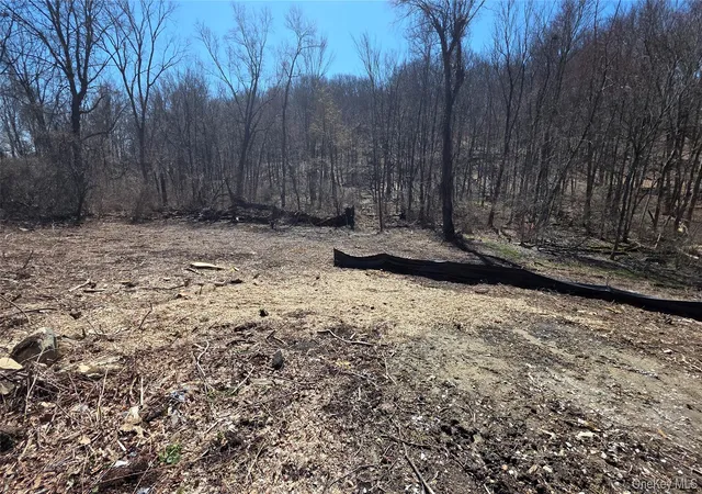 Photo 4 of Land for sale at 91 Barrett Hl Rd, Kent, NY 10512 | MLS# 962476 | Listing updated on 2026-08-06