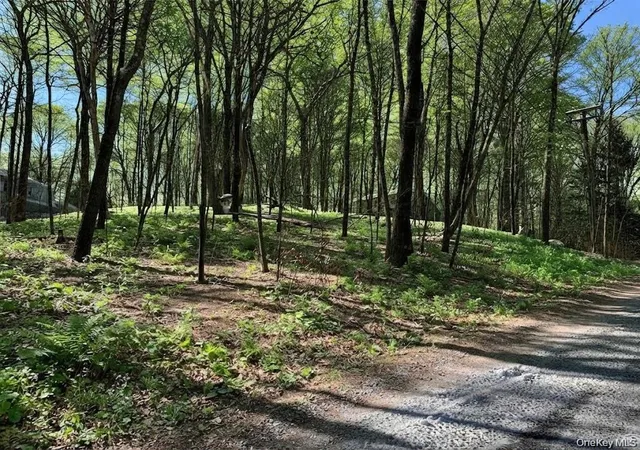 Land for sale at Lakeview Dr, Dover, NY 12564 | MLS# 962482