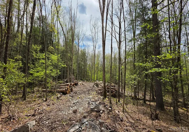 Homes for sale in Tusten, NY | Lot 82 Perry Pond Rd, Tusten, NY 12764 | MLS# 963698