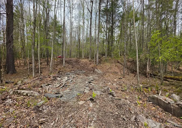 Homes for sale in Tusten, NY | Lot 82 Perry Pond Rd, Tusten, NY 12764 | MLS# 963698