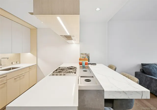 5th image of 252 South St #68K, New York, NY 10002 | MLS# 963817