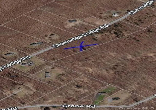 Homes for sale in Mamakating, NY | 237 Shawanga Lodge Rd, Mamakating, NY 12721 | MLS# 964300