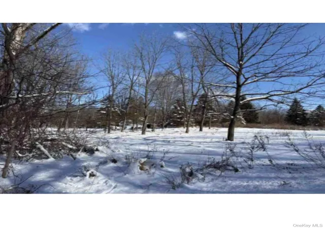 3rd image of Van Burenville Rd, Wallkill, NY 10940 | MLS# 965294
