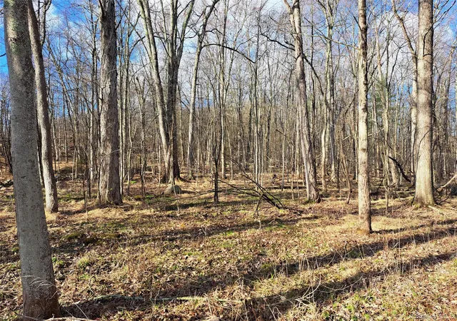 5th image of Van Burenville Rd, Wallkill, NY 10940 | MLS# 965294