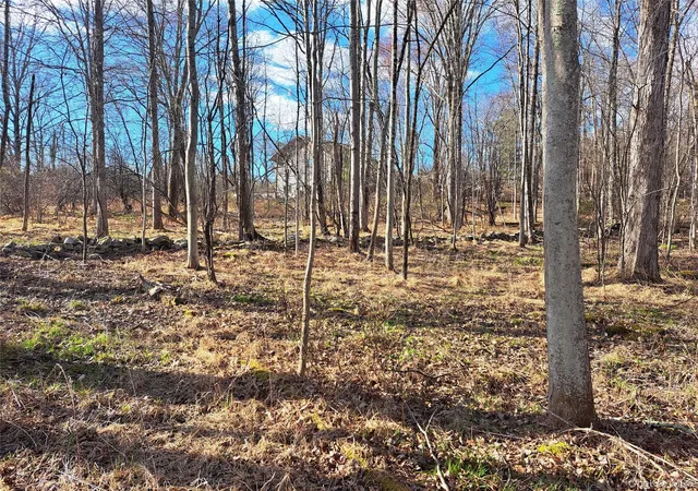 10th image of Van Burenville Rd, Wallkill, NY 10940 | MLS# 965294