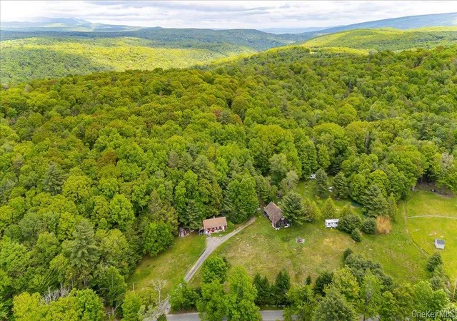 Homes for sale in Wawarsing, NY | 101 Red Star Rd, Wawarsing, NY 12435 | MLS# 965863